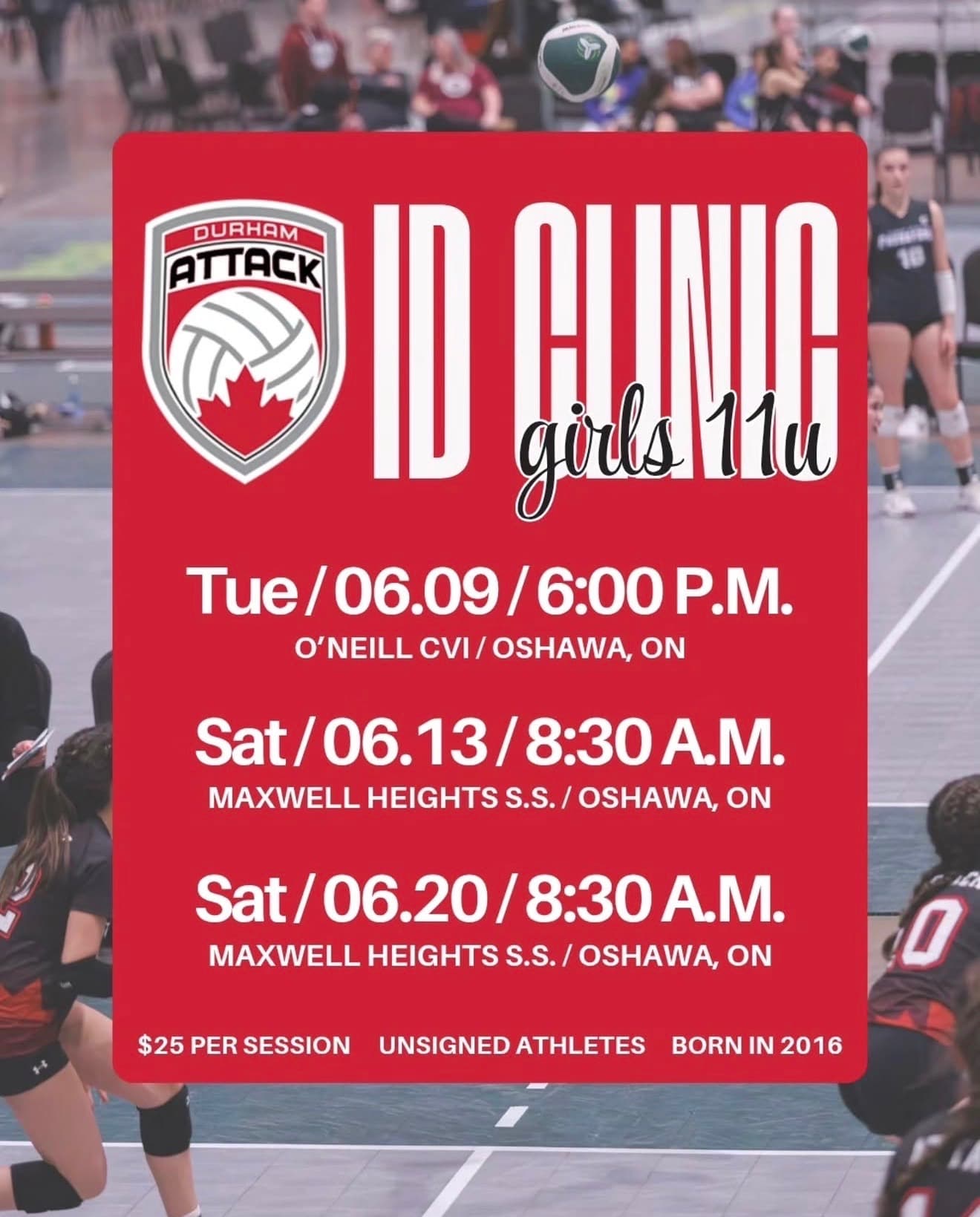 Girls 11U ID Clinic - Session 1 flyer