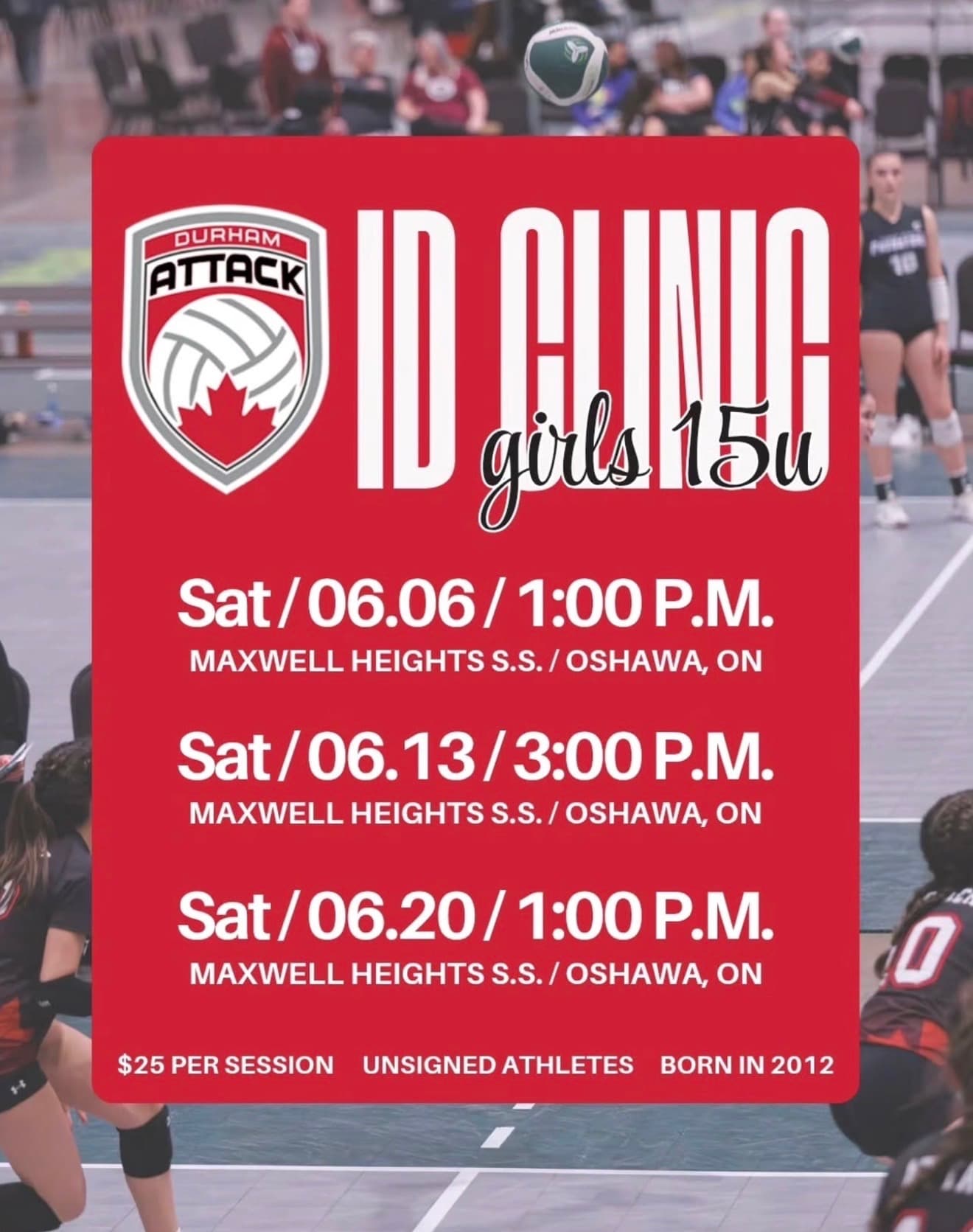 Girls 15U ID Clinic - Session 1 flyer
