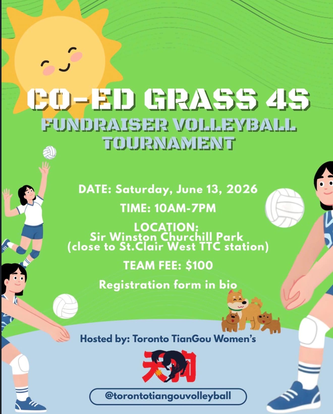 Co-Ed Grass 4s Fundraiser Volleyball Tournament flyer