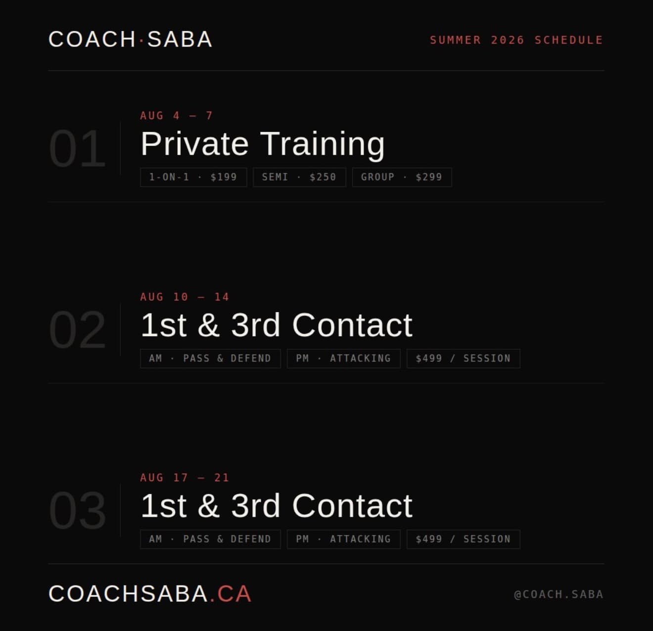 Summer Volleyball Private Training flyer
