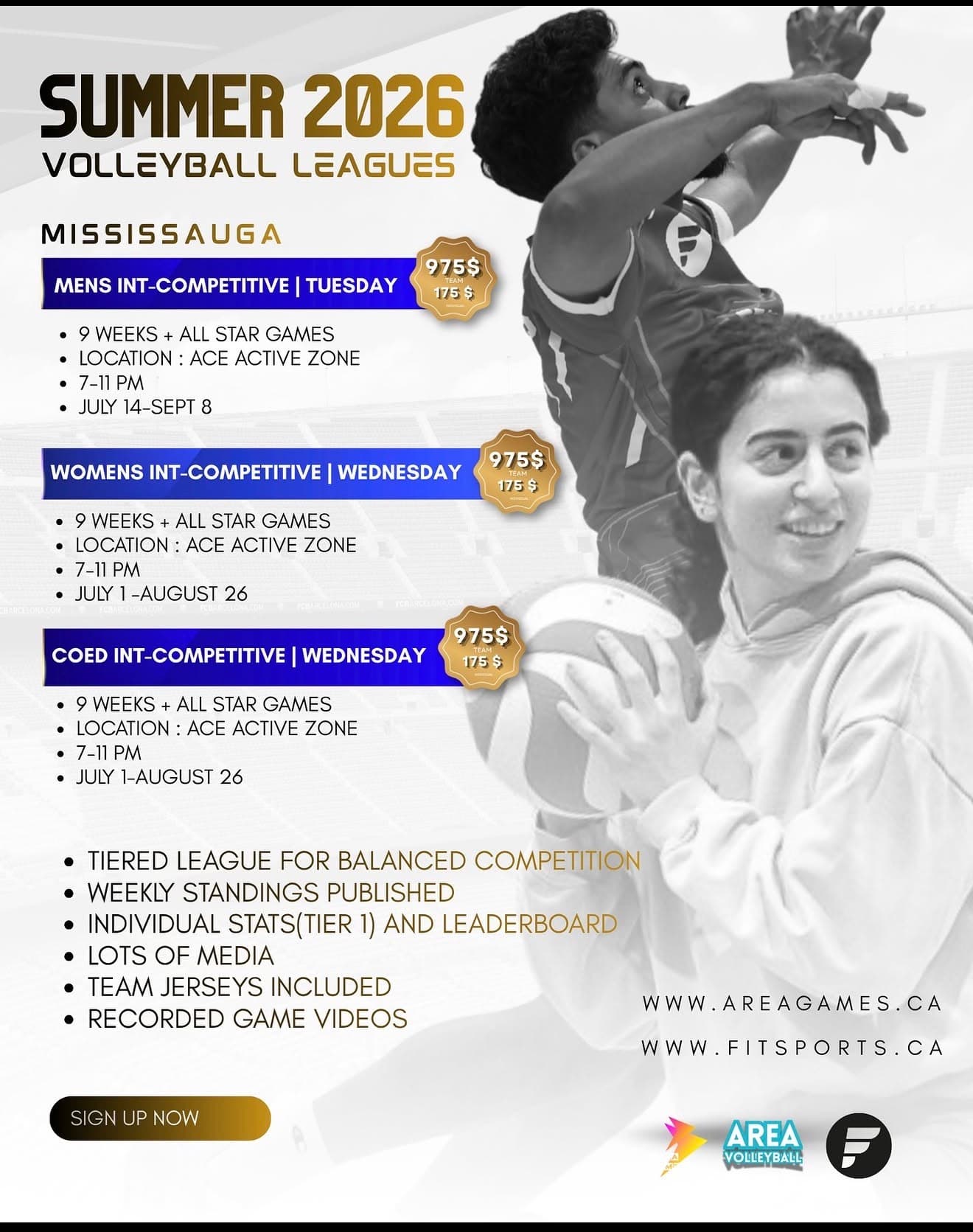 Adult Coed League flyer