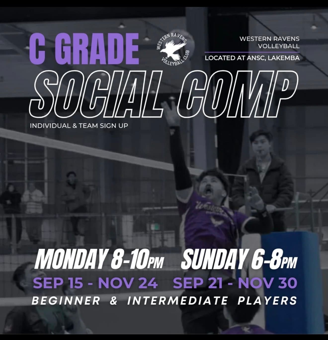 Adult Coed League flyer